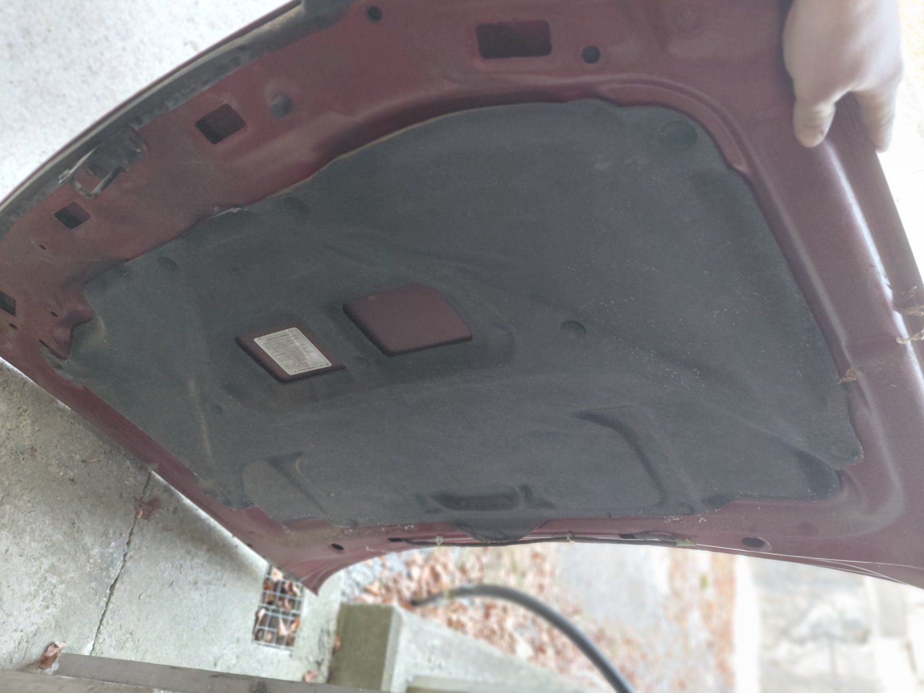 Subaru Tutti pezzi di ricambio auto: Motorhaube subaru forester sf – Usato da Engi venduto da mar_2rtw 1