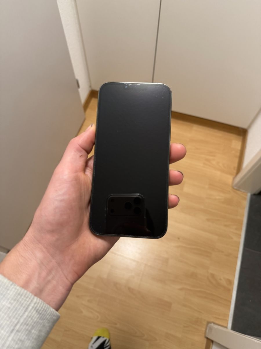 Apple iPhone 13 Pro Max Alpine Green in gutem Zustand (Gebraucht) in ...