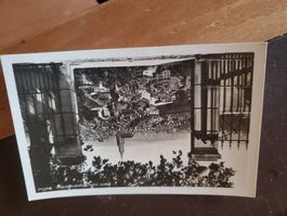 Antike Postkarte Bern vom Rosengarten