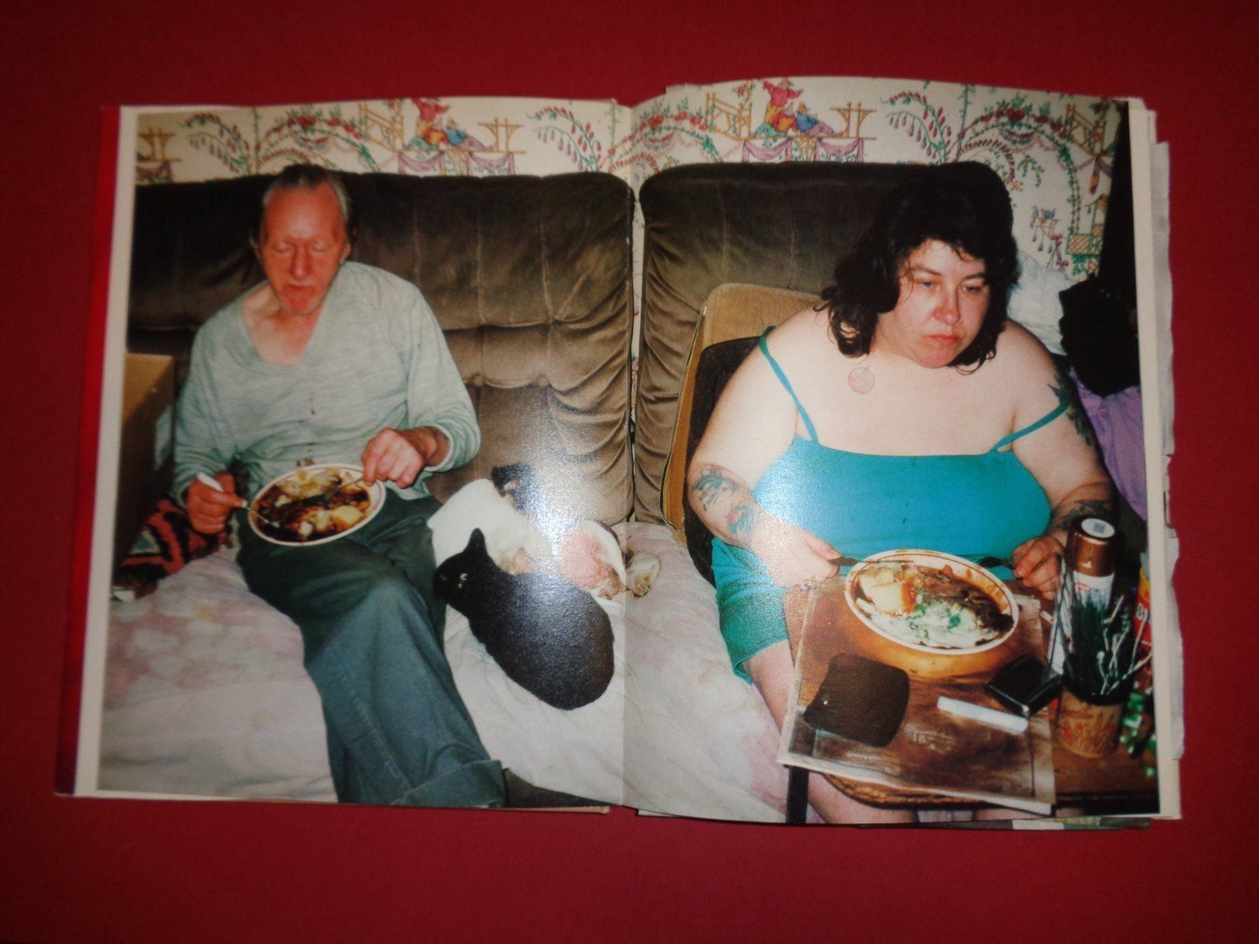 Livres: RICHARD Billingham Ray is`n Witz – D'occasion à Welschenrohr par Regool 3