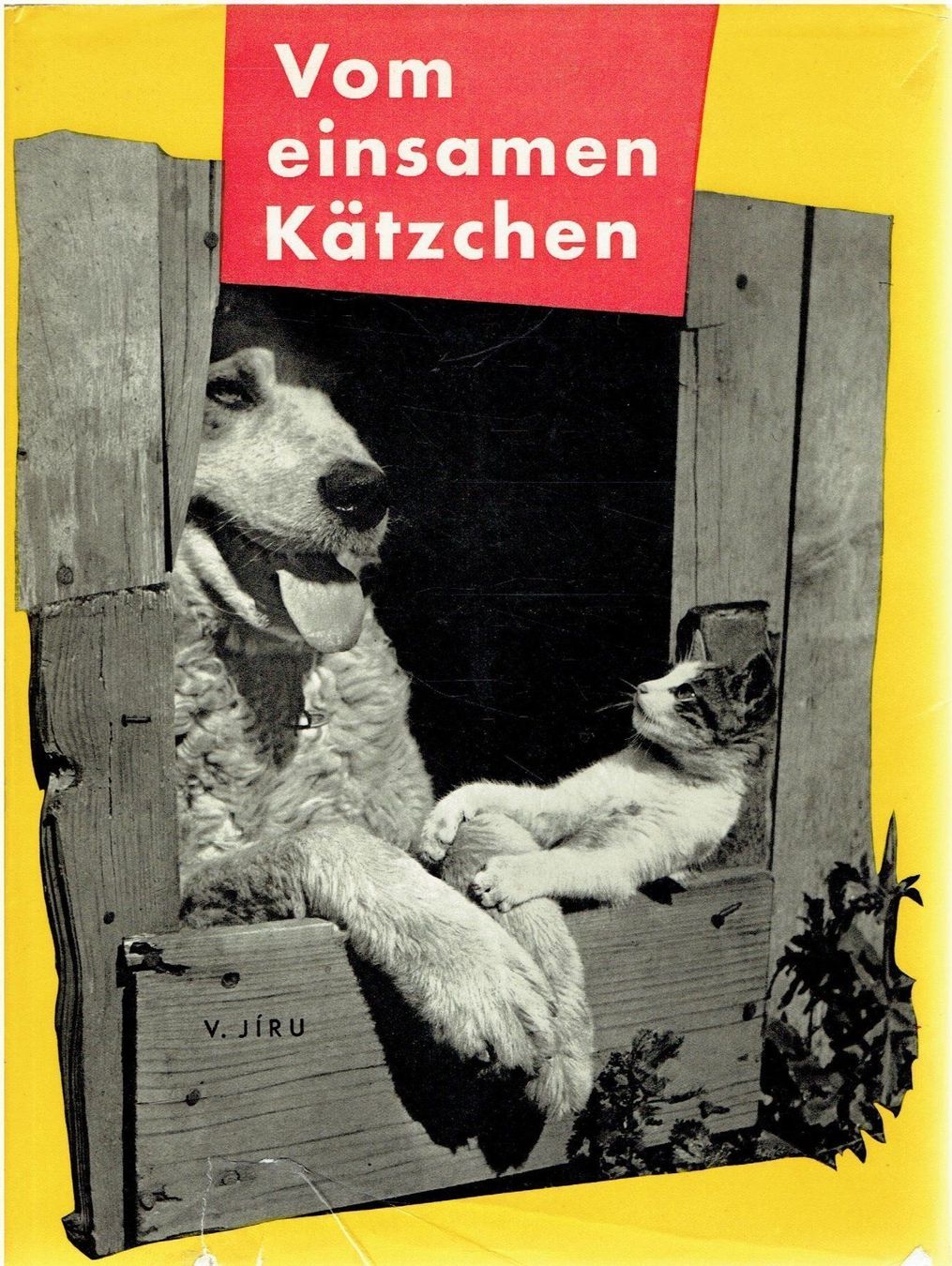 Bücher: Vom einsamen Kätzchen – Gebraucht aus Flims - Dorf von Stagediver
