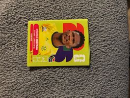 Panini Sticker RSA 8, Südafrika WM 2026