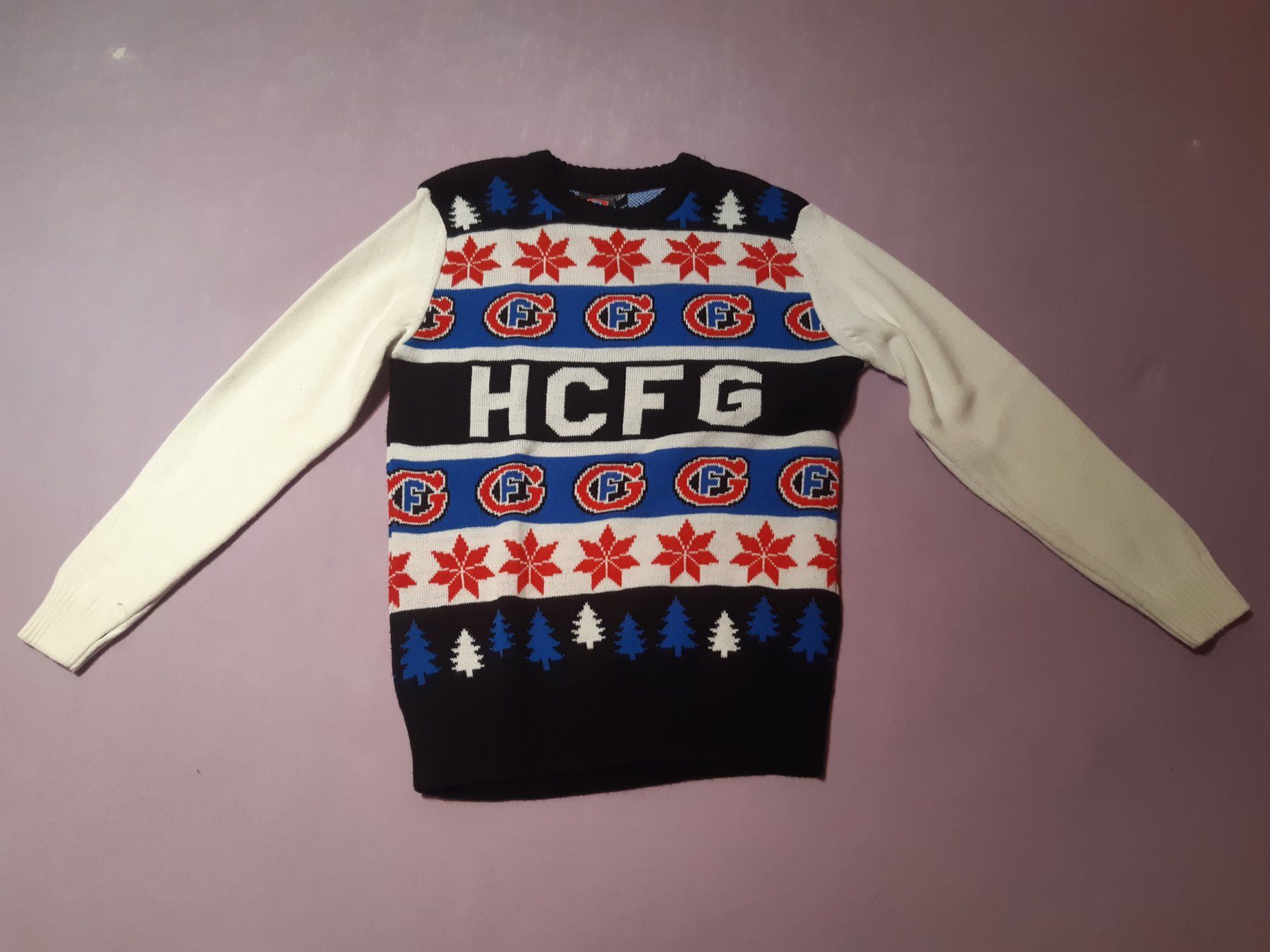 Pulls & Sweat-shirts: Pullover Gotteron – D'occasion à Giffers par attila07