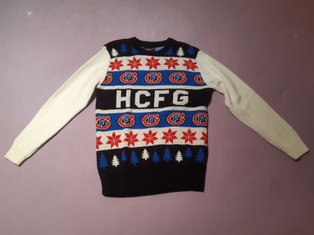 Pullover Gotteron