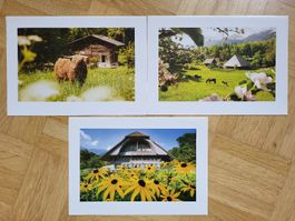 3 Karten - Ballenberg - Freilichtmuseum Schweiz