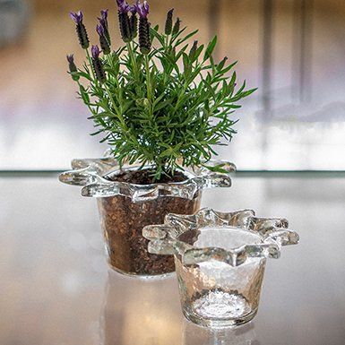 Glasi Hergiswil Bicchieri: Sonnentopf klein, Glasi Hergiswil – Nuovo (secondo la descrizione) da Greifensee venduto da Snowtime