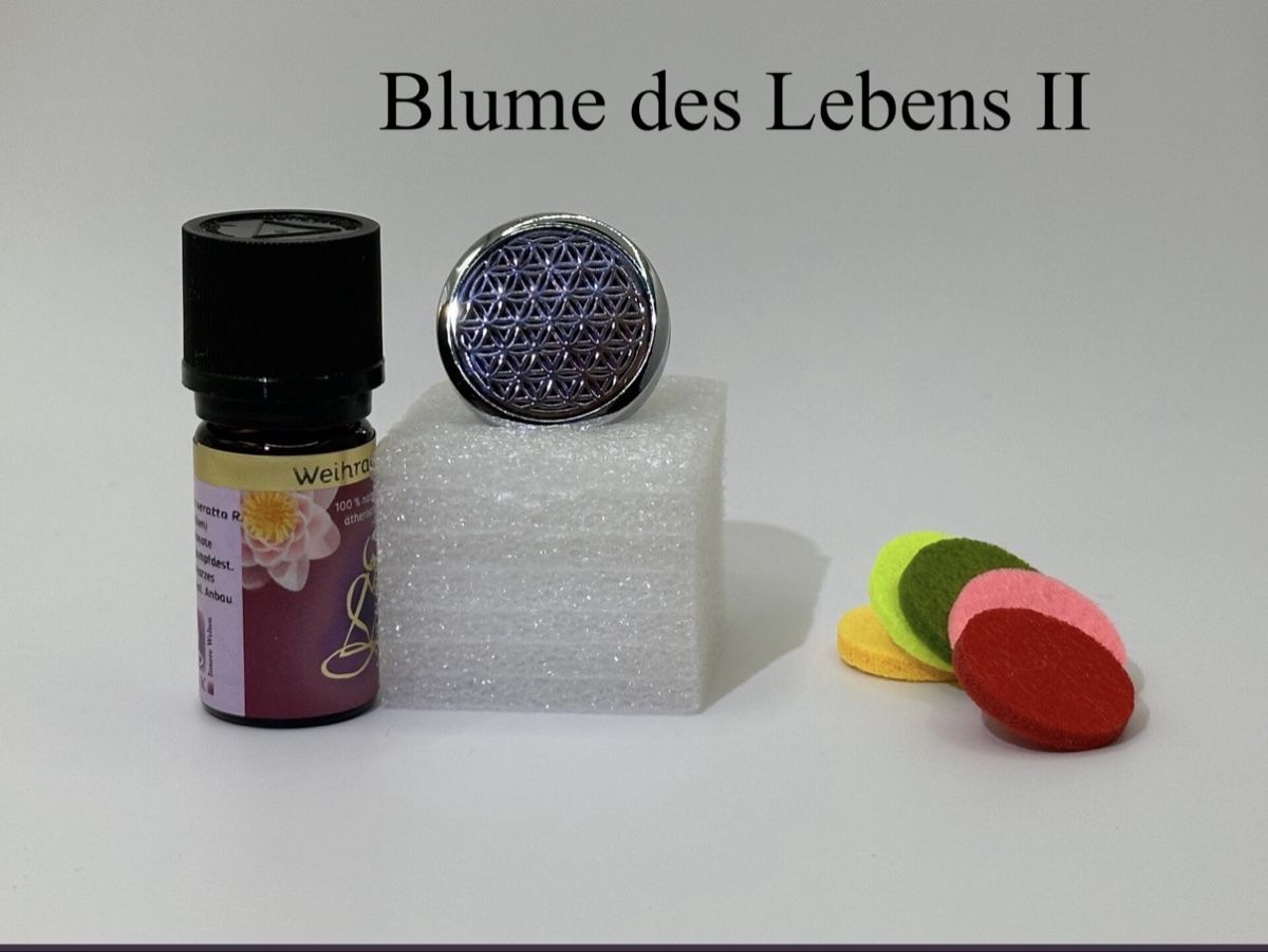 Diffusori di oli essenziali: Auto-Diffusor verschiedene Motive – Nuovo e nell'imballaggio originale da Widnau venduto da Lilana 7