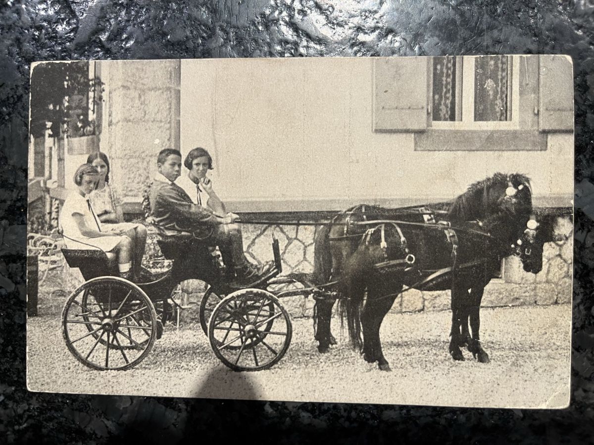 Cartes postales: Carte postale  – D'occasion à Cernier par Psidium58