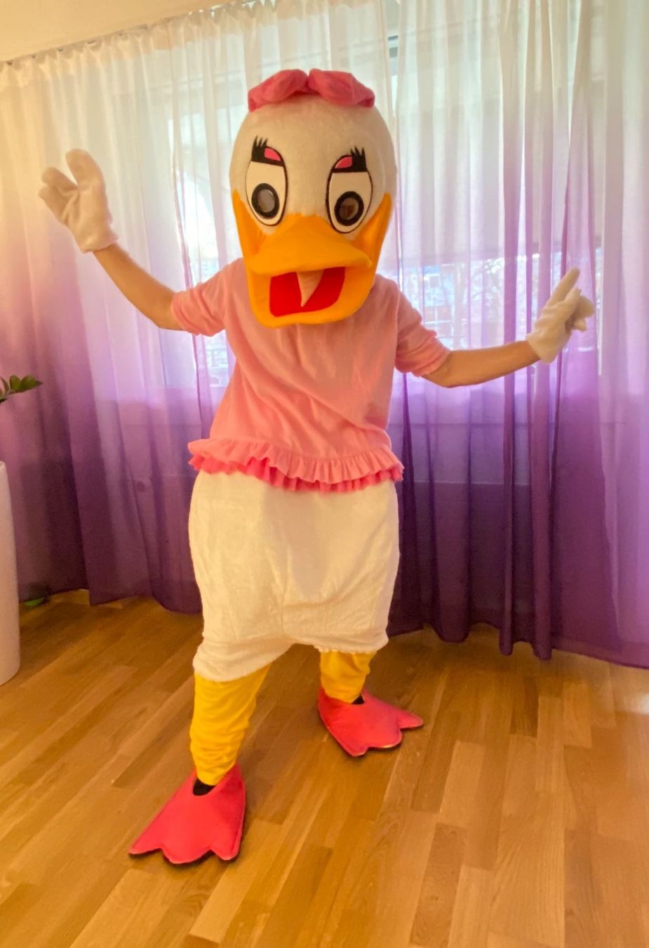 Costumi: Maskottchen Miete 1Woche – Usato da Burgdorf venduto da eins-A 5