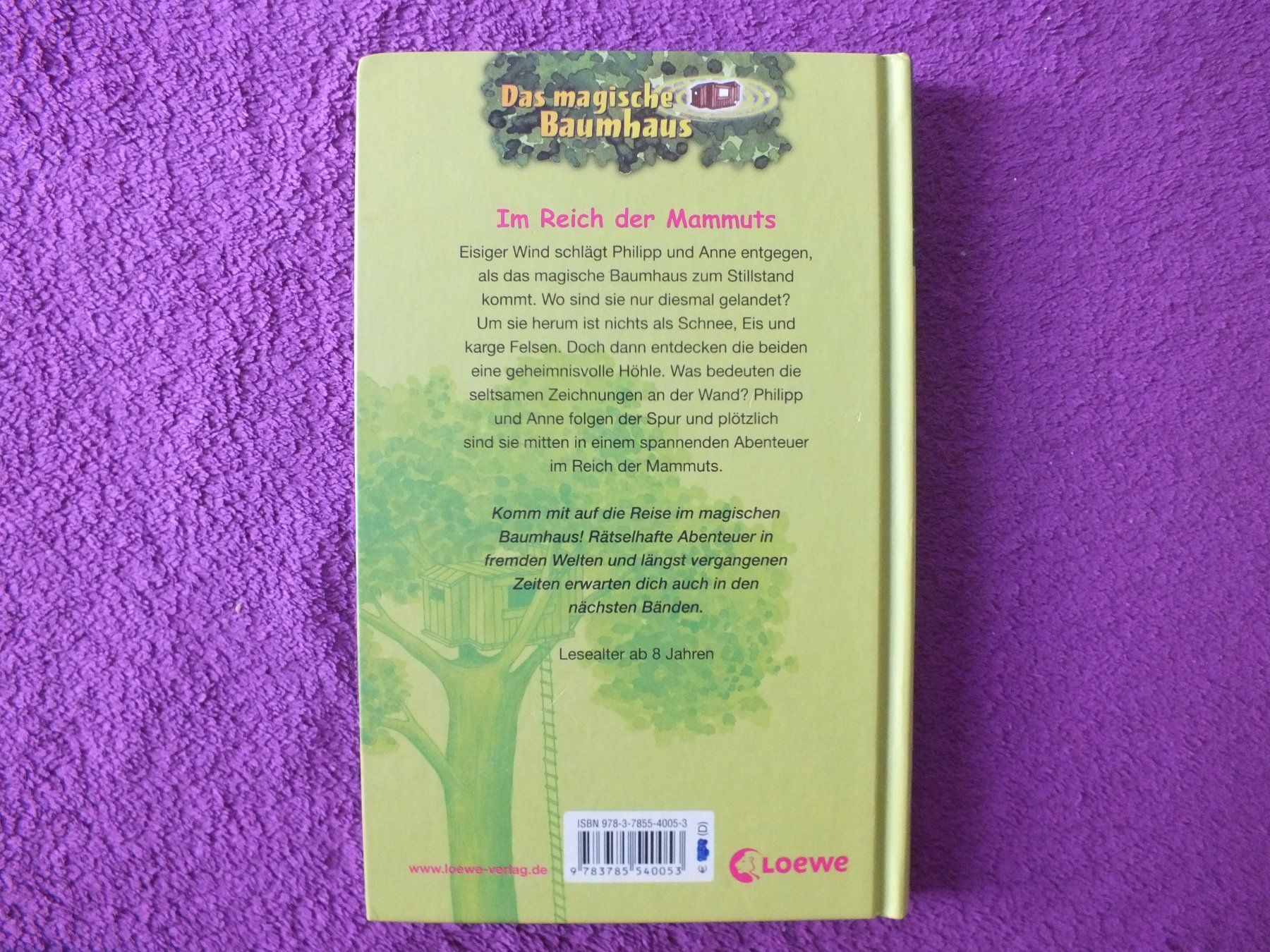 Bücher: Das magische Baumhaus 3er Bücher Set – Gebraucht aus Müllheim Dorf von Seeeule01 2