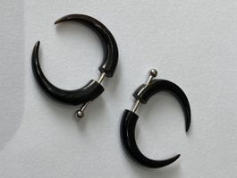 2 x Büffel Horn OHR steckeR D 25 mm ChirurgenStahl