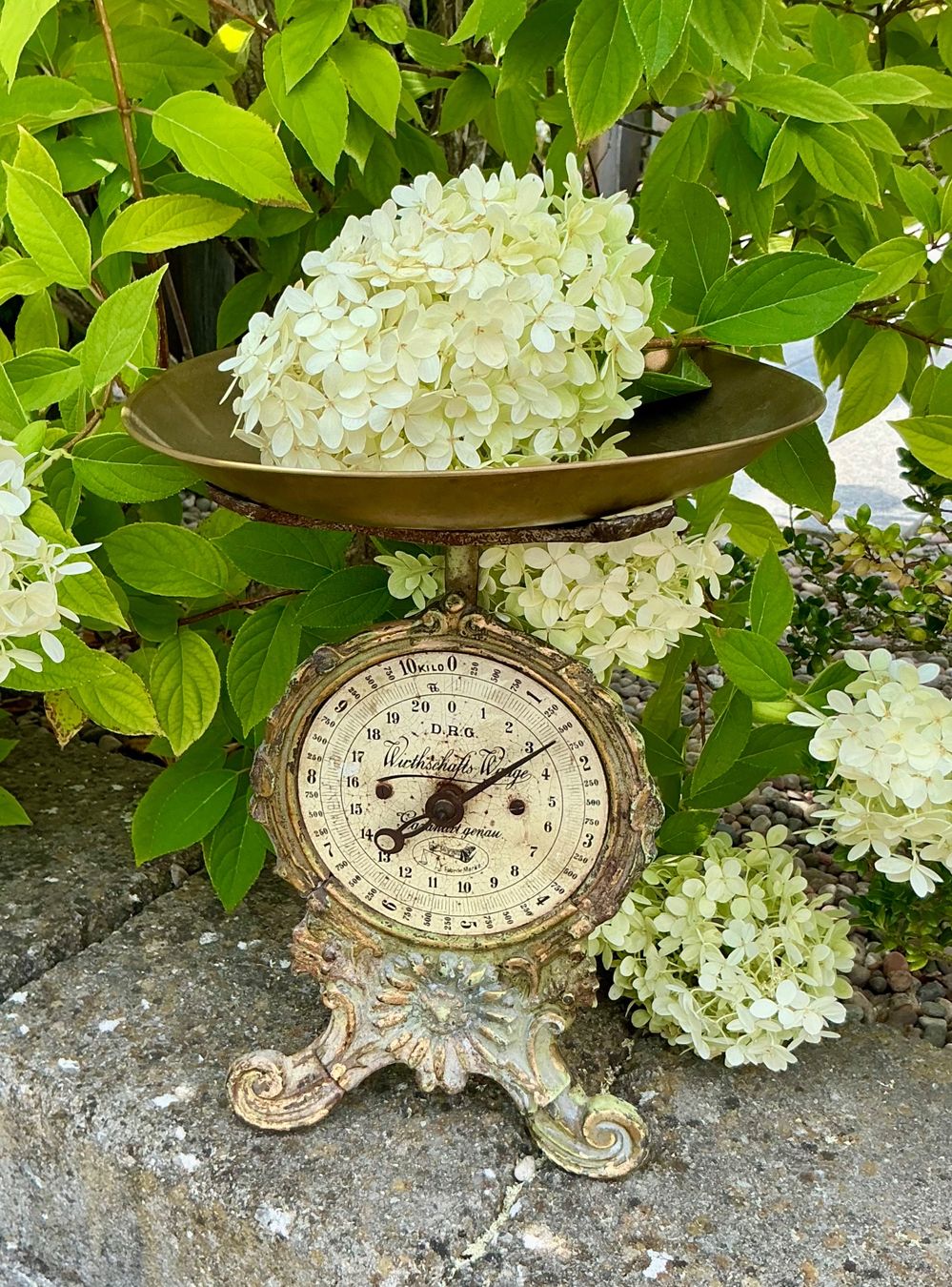 Balances et poids: URALTE KÜCHENWAAGE – D'occasion à Zell LU par Silvermemory 7