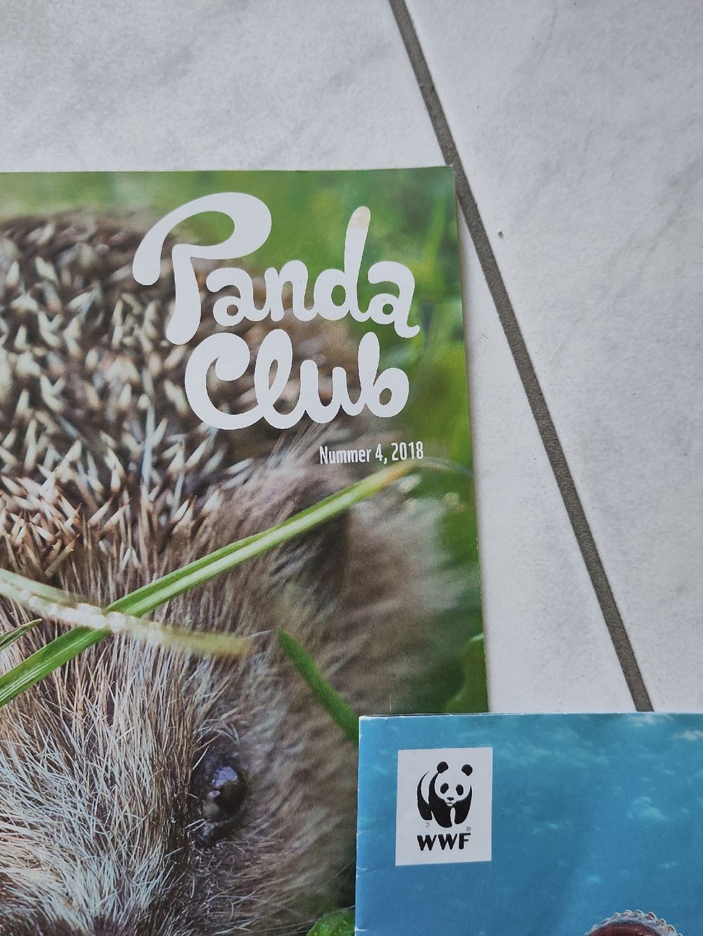 Zeitschriften & Magazine: WWF Panda Club & WWF Magazine – Gebraucht aus Dettighofen Lengw. von mai_75wt 1