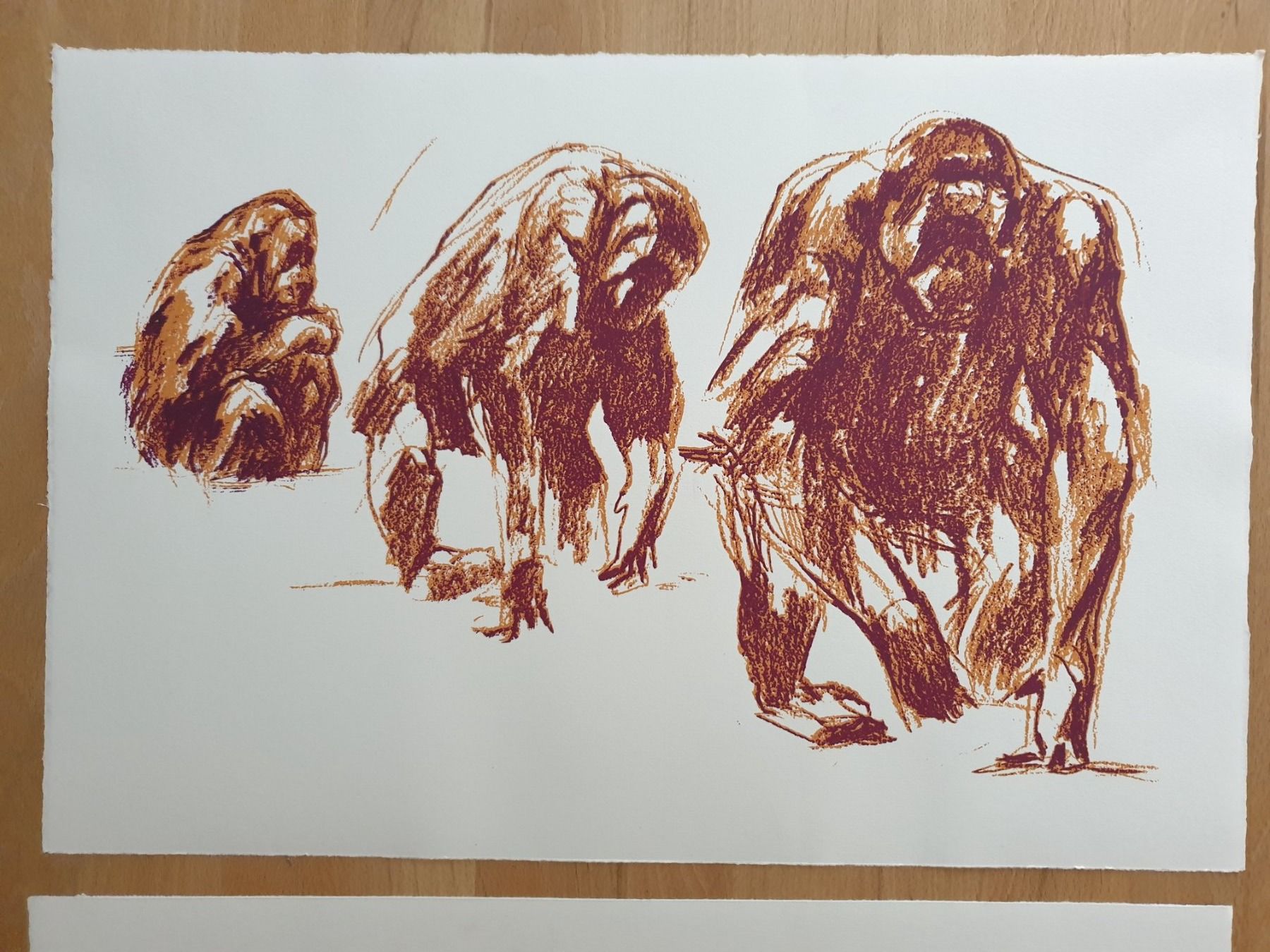 Foto & Immagini: 3 Drucke Affen-Studien Bildmass : 32x47,5 cm – Nuovo (secondo la descrizione) da kaiseraugst venduto da Yohe 3