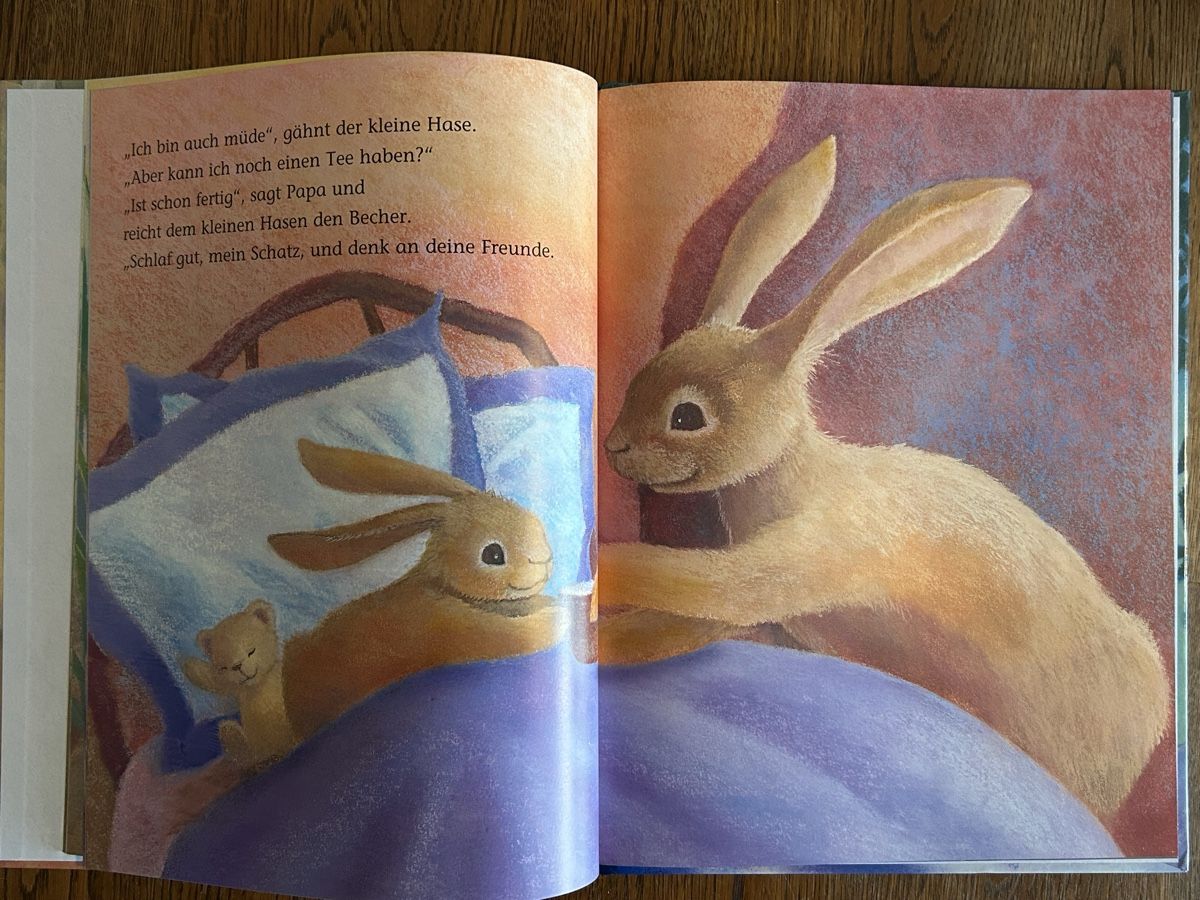 Libri: Kinderbuch: Sei beschützt dein ganzes Leben, top – Usato da Wolhusen venduto da eve_m6cg 1