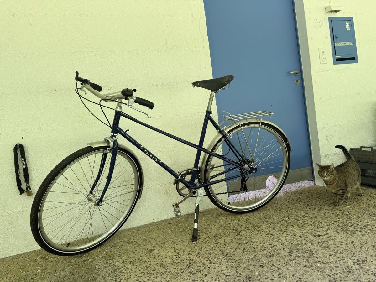 Biciclette: Wunderschön restauriertes Damen- Velo – Nuovo (secondo la descrizione) da Herrenschwanden venduto da amica