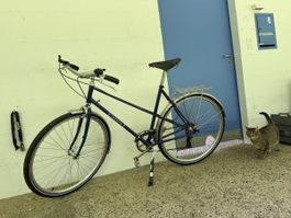 Wunderschön restauriertes Damen- Velo