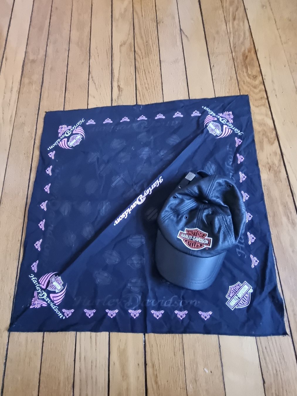 Altro in  Abbigliamento & Accessori: Harley Davidson Set: Leder Cap + Bandana – Usato da Schaffhausen venduto da Leveron13