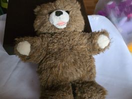 Das Plüschtier Teddy siehe Fotov