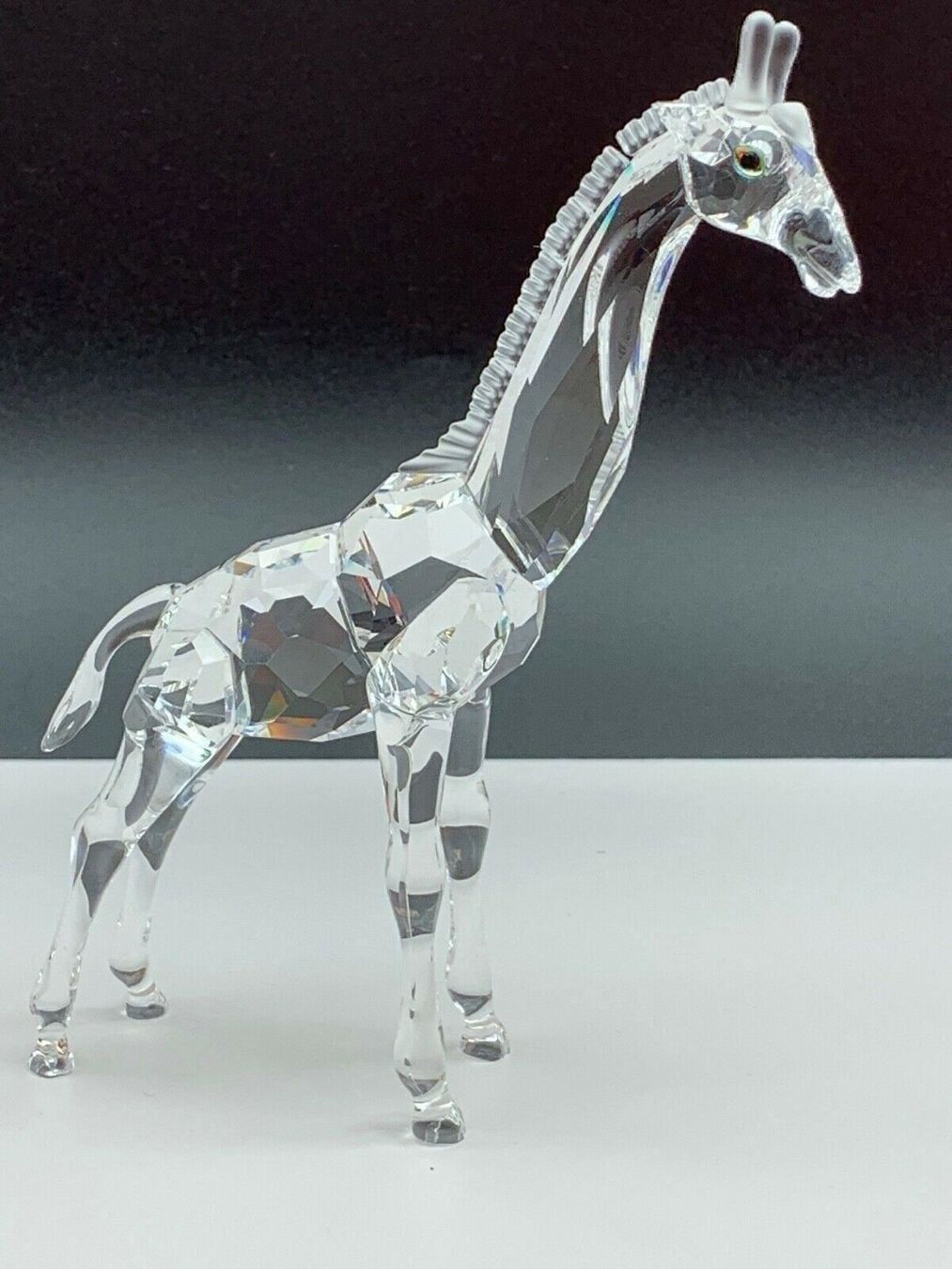 Swarovski Figuren: Original Swarovski Figur Giraffe Baby – Gebraucht aus Stüsslingen von pati-king