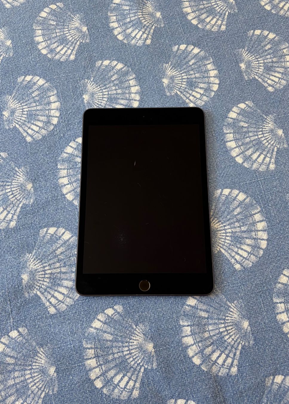 Apple Tablettes PC: Apple iPad mini (5. Generation) 64 GB mit Hüllen etc. – D'occasion à Ballwil par Soia