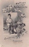 Schöne alte Postkarte Gruss aus RAPPERSWIL 1907