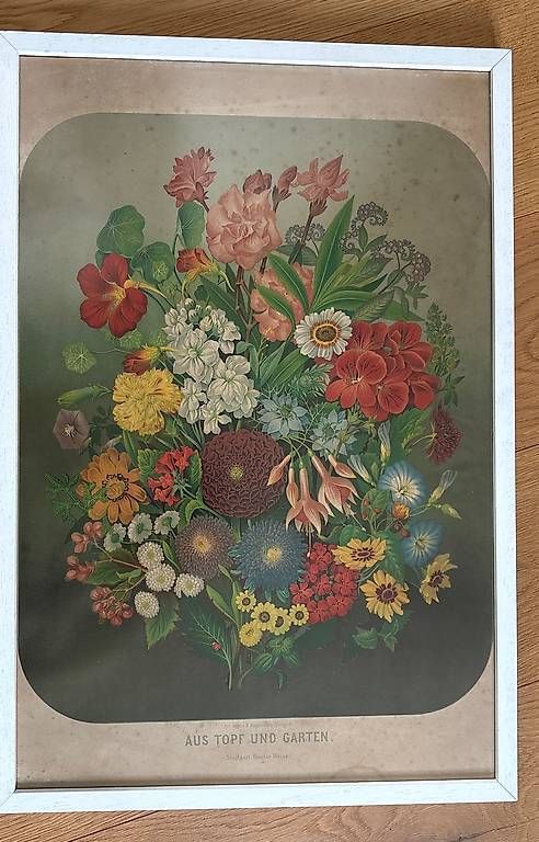Foto & Immagini: Illustration – Usato da Oberaach venduto da sinsemilla13 3