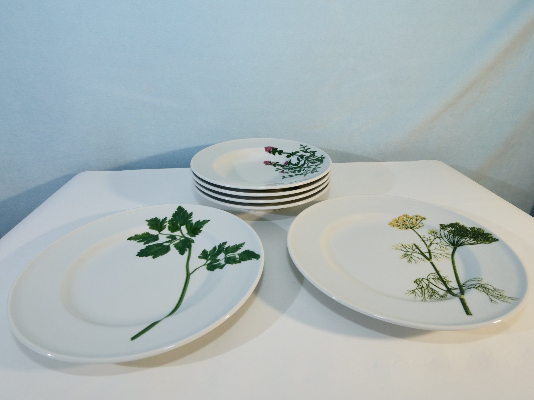 Dibbern Piatti: Dibbern Schösswald Teller Set, Kräuter Design, Top – Usato da Lustmühle venduto da Glatisant