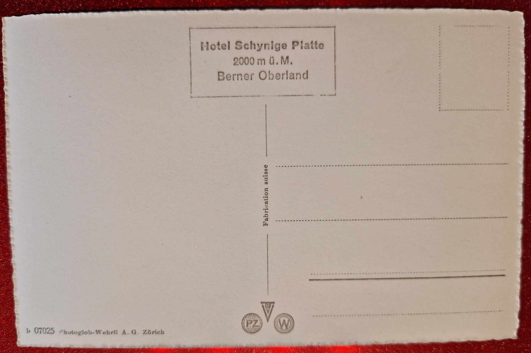 Cartoline postali: Schynige Platte - Topkarte – Nuovo (secondo la descrizione) da Melchnau venduto da Fishel 1