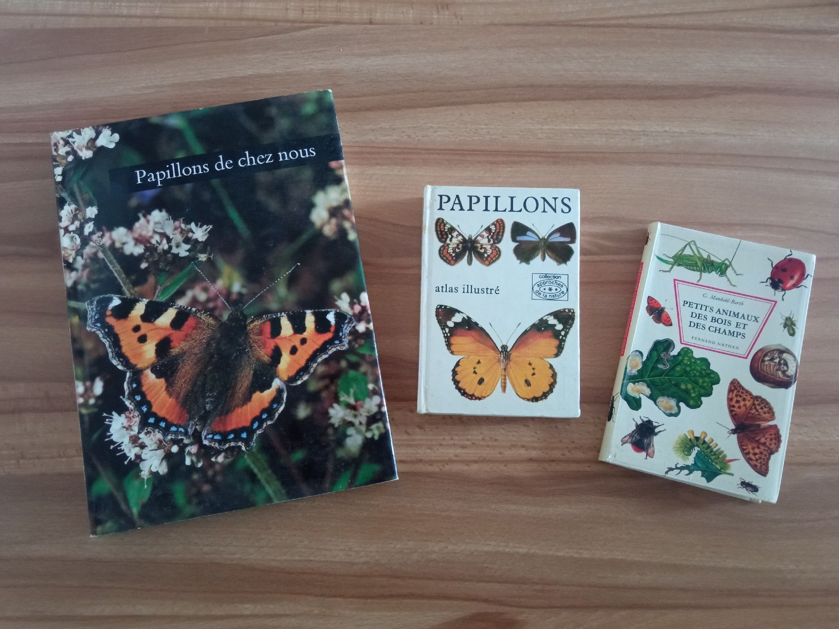 Bücher: lot 3 Livres Papillons  – Gebraucht aus Le Sentier von arc_2thy