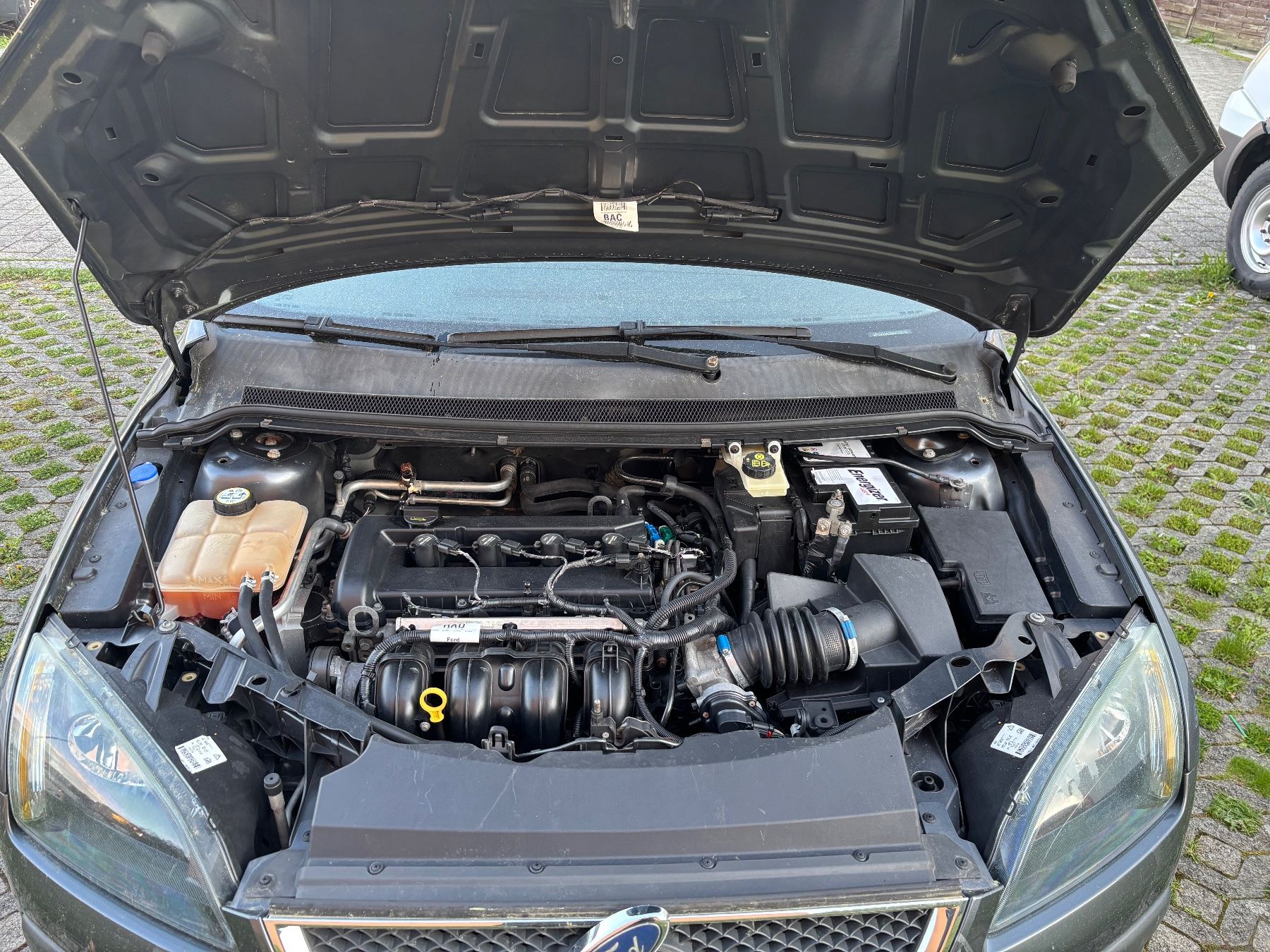 Ford Automobili: For Focus Mk2,  2.0 16V – Usato da Emmenbrücke venduto da car08 8