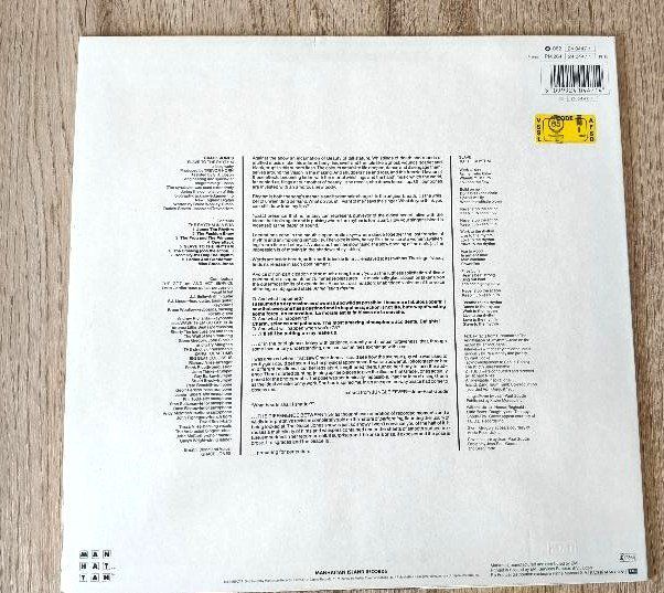 Dischi in vinile: Grace Jones LP – Usato da Dielsdorf venduto da SHOES_BY_SYLVI 1