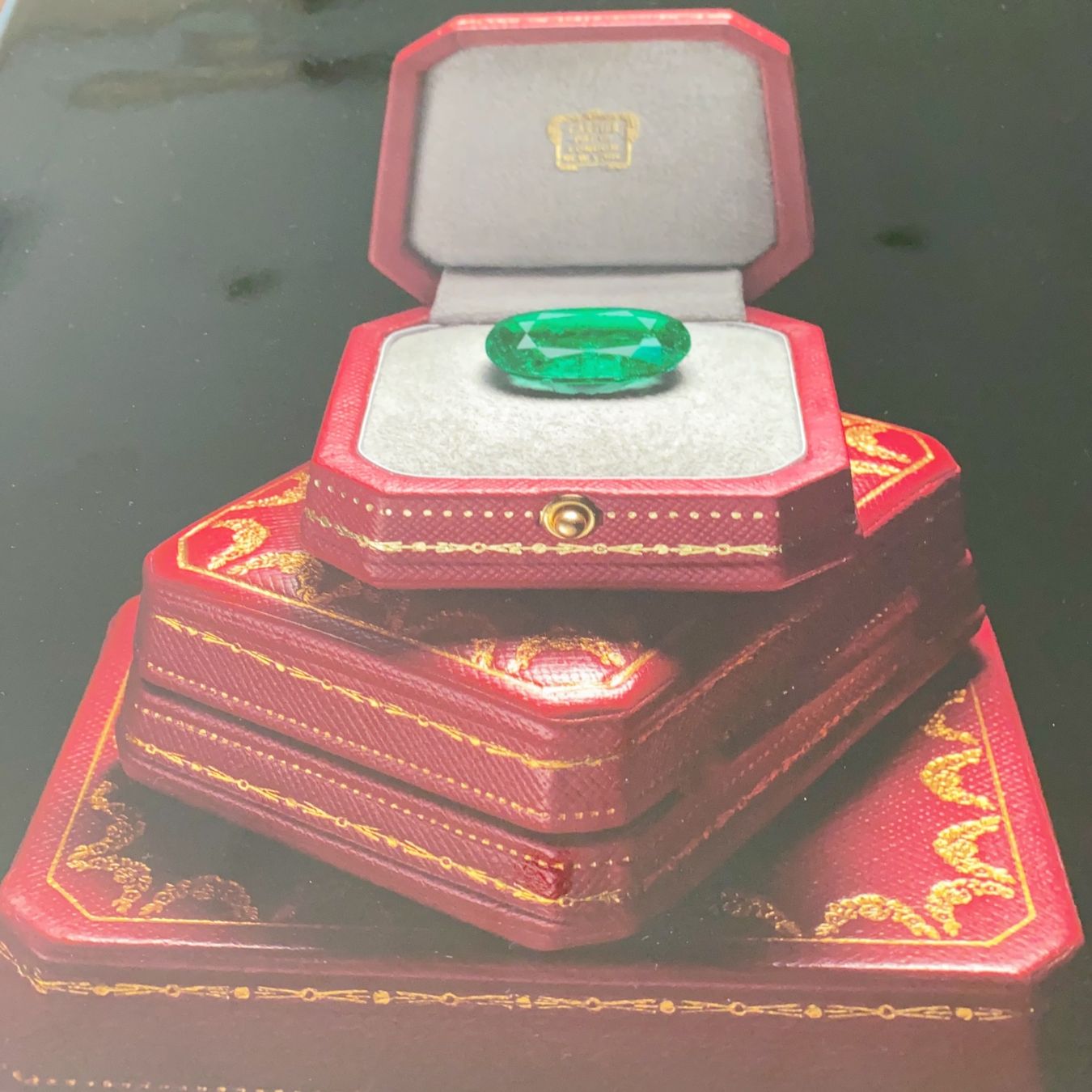 Libri: High Jewelry and Precious Objects by Cartier – Nuovo e nell'imballaggio originale da Luzern venduto da Sommer_26 3