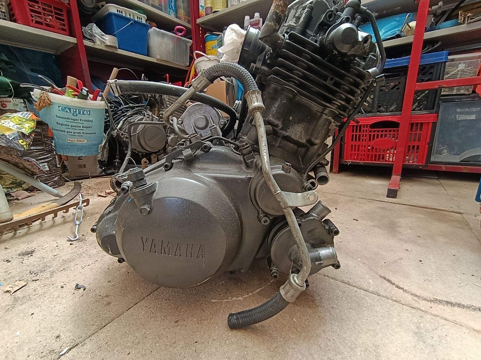 Yamaha Tutti i ricambio per moto: Yamaha XTZ 660 Tenere Motor – Usato da Thun venduto da FJ1200 2