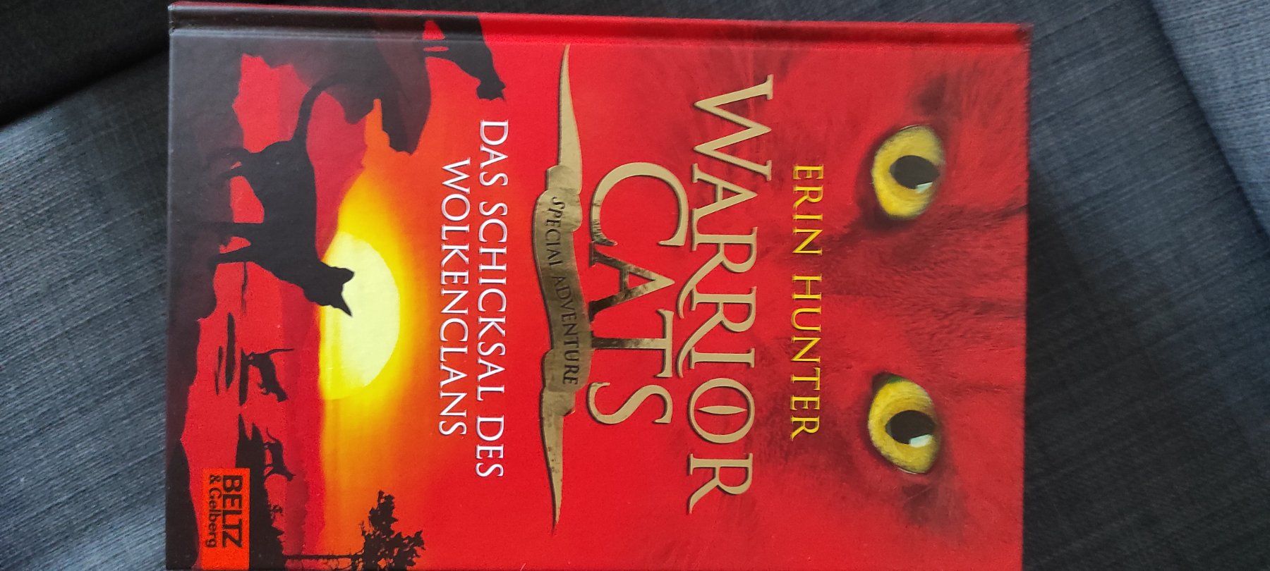Libri: Warrior Cats Special Adventures, 4 Bücher – Usato da Bassersdorf venduto da lar_9p6m 1