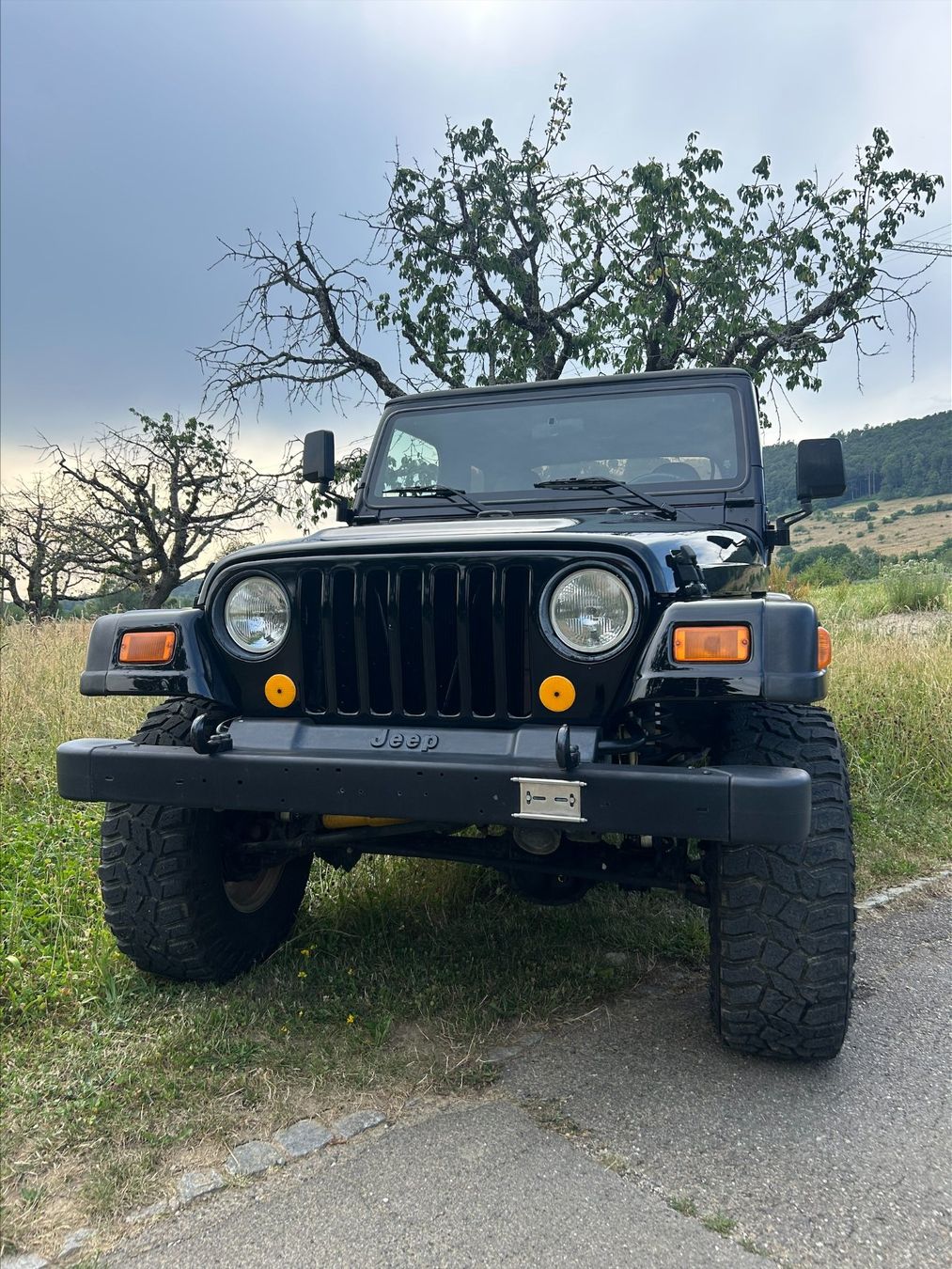 Jeep Autos: Jeep Wrangler  4.0 – Gebraucht aus Röschenz von flo4244 7