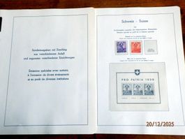 Leuchtturm,10 Falzlos-Vordruckblätter, Blocks, ohne Marken.