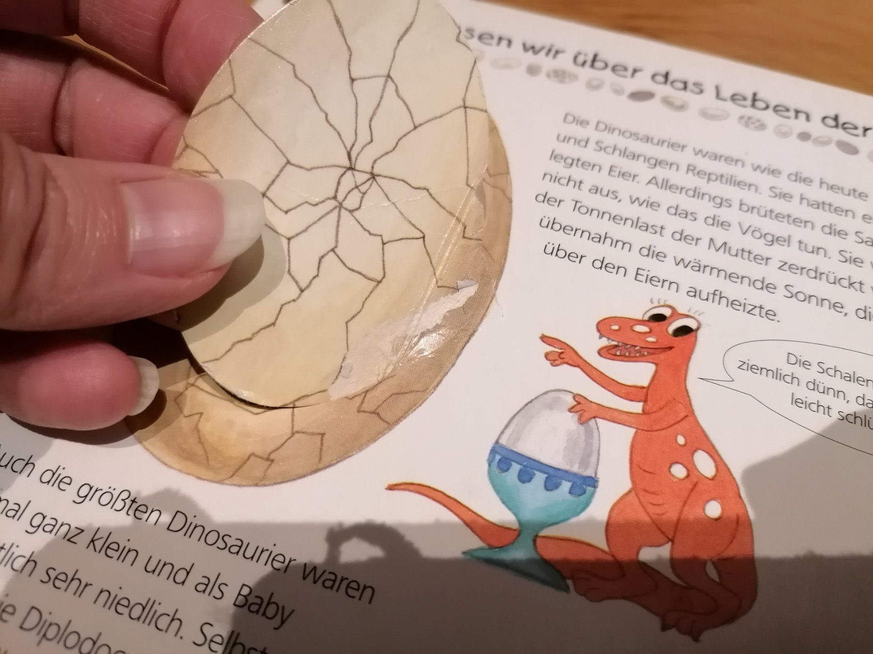 Bücher: Wieso Weshalb Warum Dinosaurier – Gebraucht aus Büttikon AG von Amineah 4