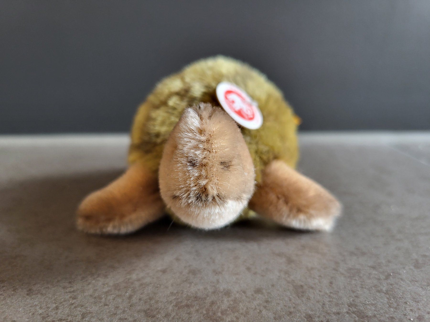 Steiff Giocattoli: Steiff Schildkröte – Nuovo (secondo la descrizione) da Zürich venduto da Orchidee 4