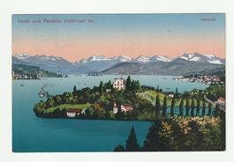 Postkarte 1917 Hotel Pension Halbinsel Au, Wädenswil