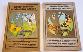 Schreibers kleiner Atlas der Schmetterlinge und Raupen 2 Bd.