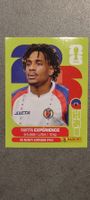 Panini FIFA World Cup 2026 Sticker - HAI 4 Martin Experience
