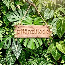 Profile image of -Pflaenzlilade