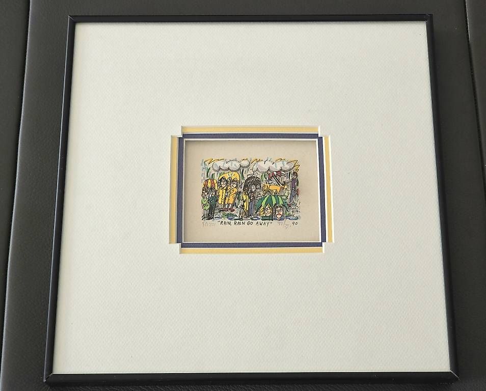 Foto & Immagini: James Rizzi 1990,"Rain,Rain Go Away" – Usato da Riehen venduto da harald13 2