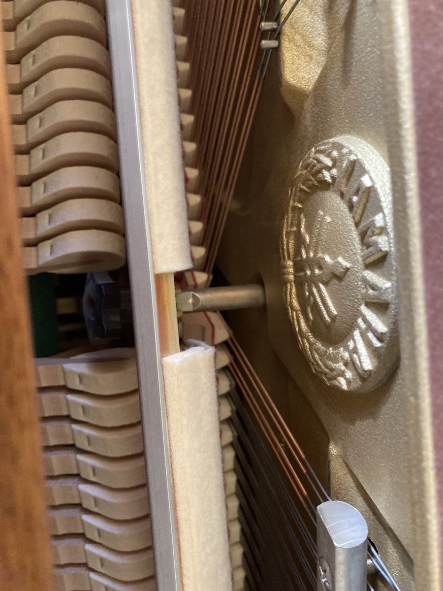 Yamaha Musikinstrumente: Pianoforte  – Gebraucht aus Malvaglia von robyadri 1