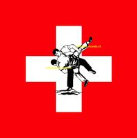 Schweizer Fahne Flagge Schwinger Schwingen