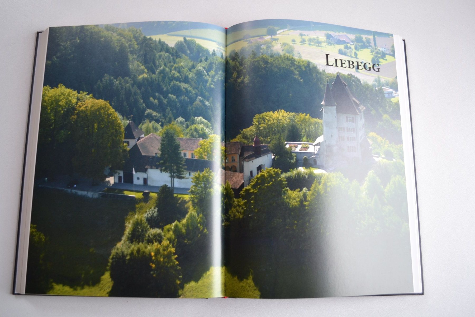 Libri: Chronik Liebegg und Trostburg – Usato da Beinwil am See venduto da kajak55 1