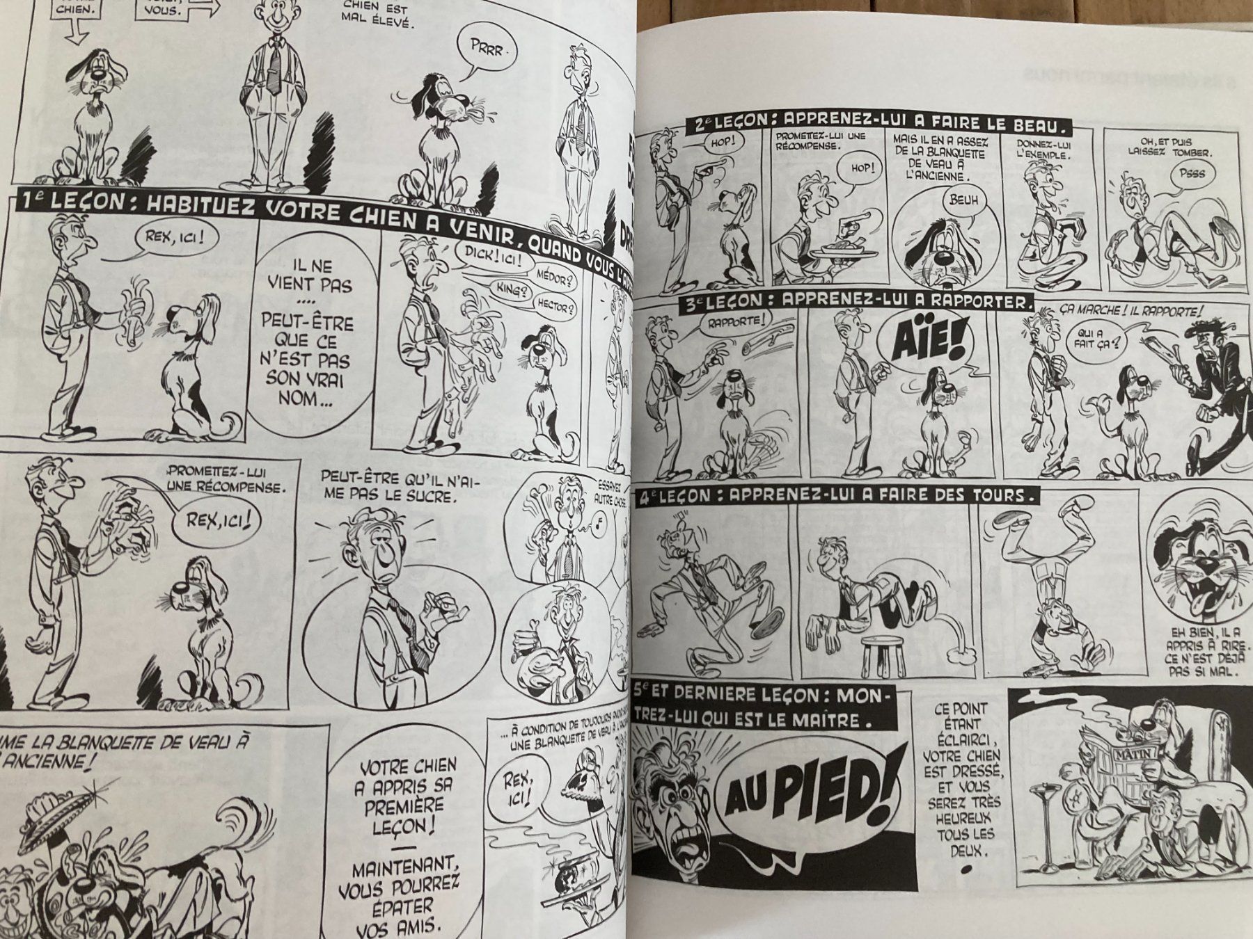 Comics: GOTLIB-Les dingodossiers T2-1994 – Gebraucht aus vaumarcus von Nicolasorel 9