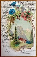 Alp Schweiz - Enzian u. Silenen - 1900