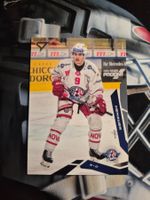 Mika Henauer Rapperswil Jona Lakers 2025/26 Sportzoo
